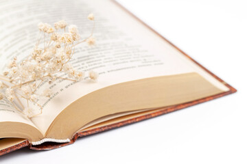 Opened book pages with gypsophila dry romantic little flowers on light background macro