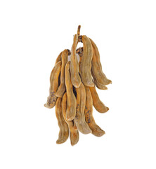 mucuna pruriens or velvet bean isolated on white background