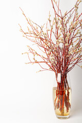 easter willow in a transparent vase on a white background, willow branches in a vase