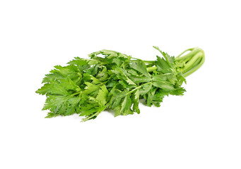 Fresh celery isolated on white background.