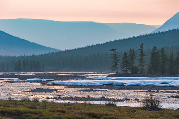 Forest on the banks of the river Hoisey. Putorana Plateau, Taimyr, Russia