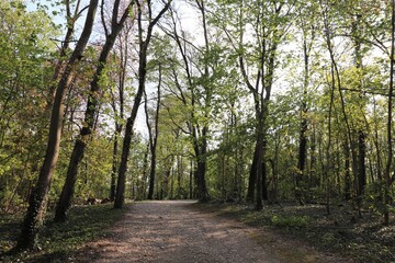 Le parc du fort, ville de Saint Priest, département du Rhône, France