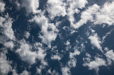 looking straight up into a deep blue cloud sky