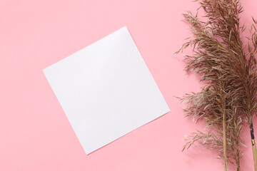 blank paper note sheet on pastel pink background and dry grass