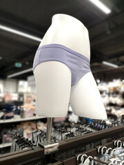 Lingerie on a dummy in the market.