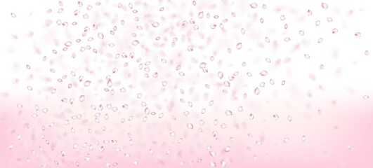 Cherry Sakura Petals Confetti. Windy Leaves Confetti Banner. Blooming