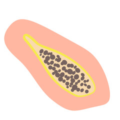 Simple boho fruit papaya. Isolated on white background. Flat style vector illustration.