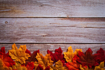Obraz premium Colorful maple leaves on wooden background. Autumn & fall holiday theme. Happy thanksgiving. Empty space for text. Copy space.
