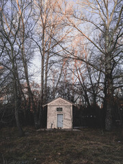 Fototapeta na wymiar antique house in the woods