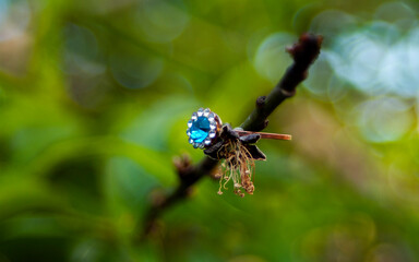 isolated blue diamond ring 