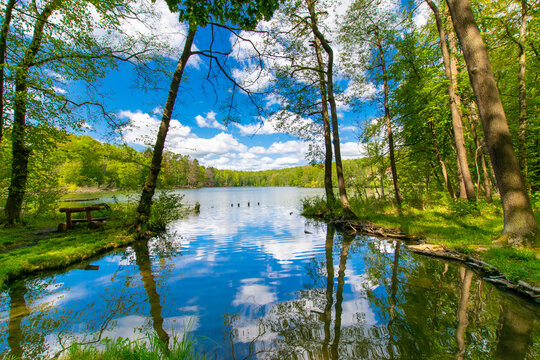 landscape and lake (Scherm&uuml;tzelsee, Buckow, Brandenburg, Germany)