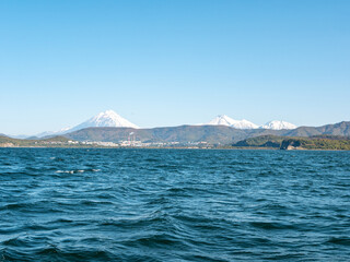 The seaport in the Avacha Bay of Petropavlovsk-Kamchatsky. View from the sailing yacht to the seaport, volcanoes, autumn hills against the blue sky. Kamchatka Peninsula, Russia.