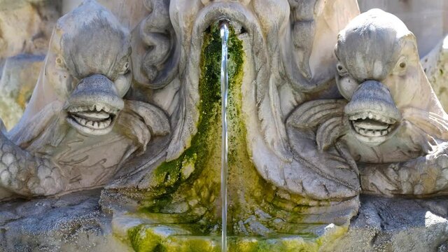Antique baroque marble fountain with monster heads in Rome near Pantheon front view