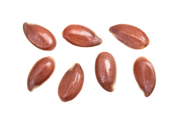 Macro of seven linseeds of flax seed seen directly from above and isolated on white background