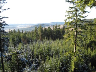  2012 - 12 - Lipno-See - Ausflug Baumwipfelpfad 04 