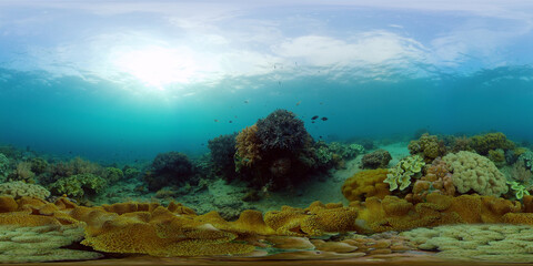 Naklejka na ściany i meble Marine scuba diving. Underwater colorful tropical coral reef seascape. Philippines. 360 panorama VR