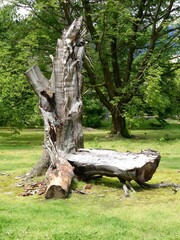 Obraz premium 2013 - 05 - Urlaub Lago Maggiore - 06 - Villa Taranto 13 