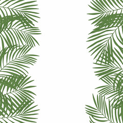 Palm leaves. Vector  background.