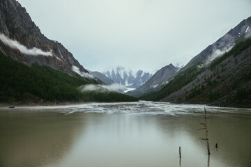 Atmospheric alpine landscape with dry tree in green water of mountain lake from snowy mountains in overcast weather. Gloomy scenery with green lake with rainy circles and low clouds in mountain valley