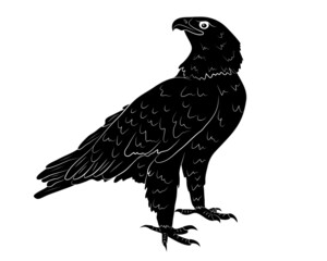 Black silhouette Cartoon  wild eagle in isolate on a white background. Vector illustration.