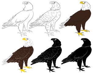 Set of Cartoon  wild eagle in isolate on a white background. Vector illustration.
