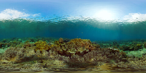 Tropical coral reef and fishes underwater. Hard and soft corals. Philippines. Virtual Reality 360.