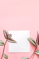 top view of empty white paper page on pink background with green plant leafs