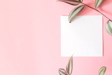 top view of empty white paper page on pink background with green plant leafs