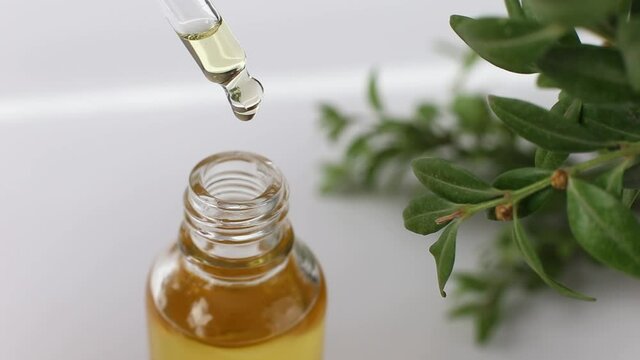 Close-up: dripping golden oil into a bottle from a glass pipette on a white background with green plant.