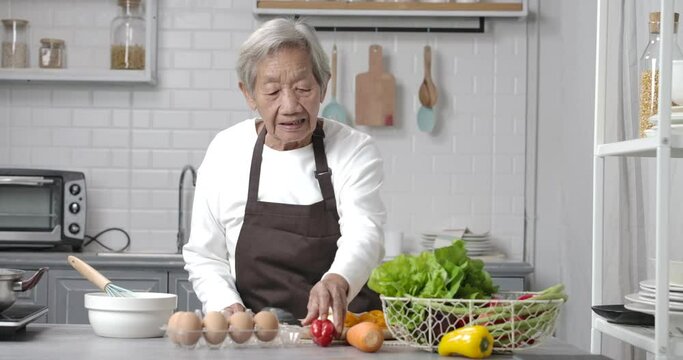 POV Of A Happy, Healthy Asian Senior Woman With Grey Hair Wearing Brown Gingham Apron. She's Makes Video About Making Meal Or Live Streaming Online To Show Cooking Method In Modern Kitchen.