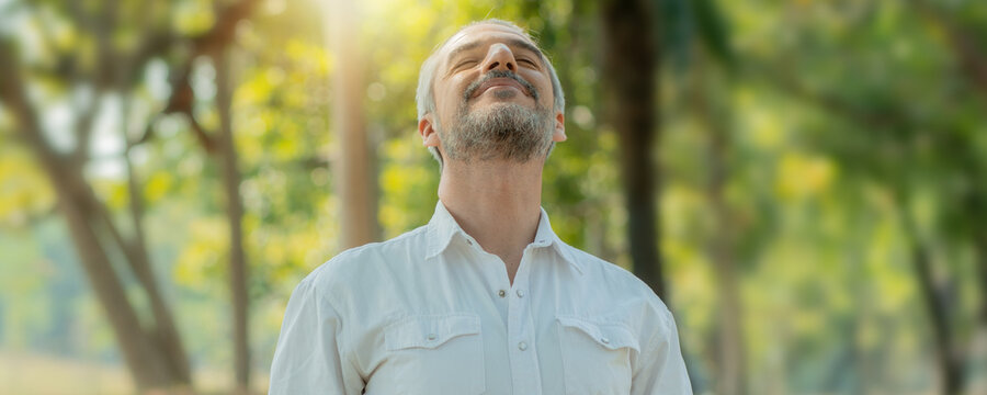 Smart handsome old man breathe pure air from tree and have good healthy in park