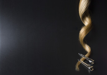 Strand Of Blond Curly Hair With Clips On The Edges On A Black Background,  Objects Vertical Placement, Spotted With Lights