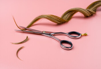 Open Hairdressing Scissors With a Strand Curl Hair On A Pink Background, Professional Shears And Cutted Hair Edges