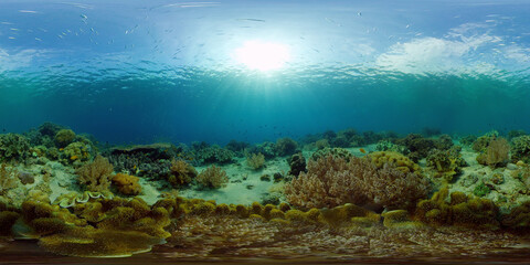 Naklejka na ściany i meble Coral Reef and Fishes Underwater. Underwater fish reef marine. Tropical colorful underwater seascape with coral reef. Philippines. 360 panorama VR