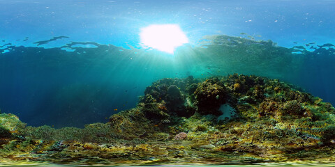 Reef Coral Scene. Tropical underwater sea fish. Hard and soft corals, underwater landscape. Philippines. Virtual Reality 360.