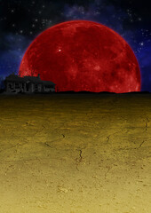 青い満月の夜に枯れ木にとまる鳥のイラスト Wall Mural Nijin