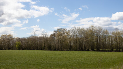 Fototapeta premium Clouds in the sky above the meadow