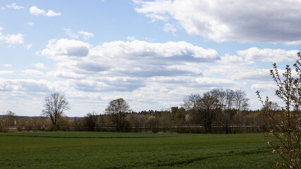 Clouds in the sky above the meadow