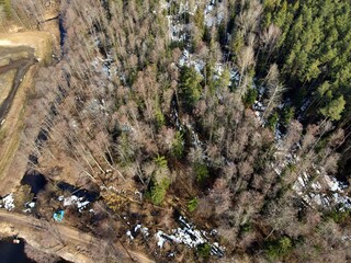 drone view of the forest in early spring nature landscape 