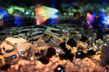 Artificial fireplace. Crystals in the fireplace. Cozy fireplace.