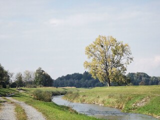  2020 - 10 - Lustenauer Ried - Ried 07 