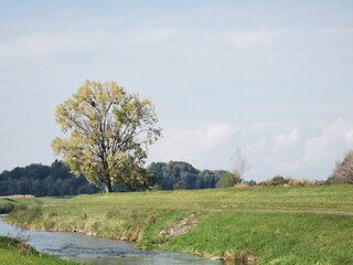  2020 - 10 - Lustenauer Ried - Ried 06 