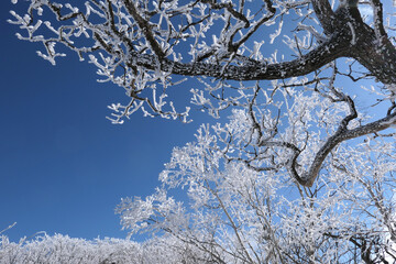 Winter snow scenery at Gyebangsan Mountain, Korea