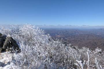 Winter snow scenery at Gyebangsan Mountain, Korea