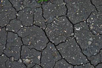 Fototapeta premium Surface of cracked earth close-up in drought