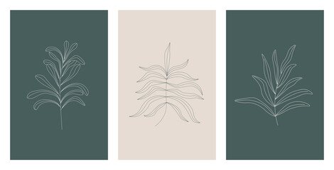 Vector set of three botanical wall art posters in green and gray colors. Trendy earth toned line art in minimalist style. Design for print, cover, flyer, invitation, brochure.