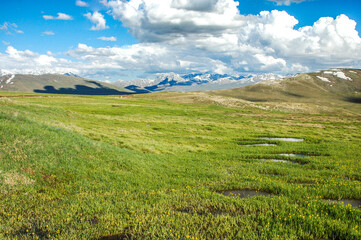 Deosai Beautiful Vibrant Landscape. Deosai National Park is a high-altitude alpine plain in the Northern Gilgit-Baltistan GB region of Kashmir Pakistan. Second highest plateaus in world.
