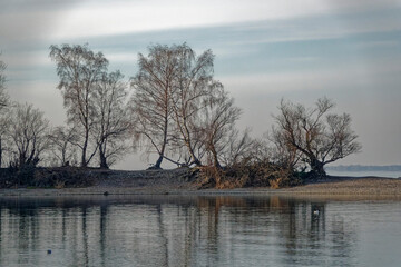  2021 - 01 - Neu Amerika - Neu Amerika 11 