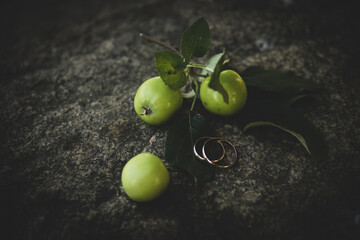 Gold wedding rings lie on a large gray stone, next to three bright green apples with a twig and leaves. Tinting.
