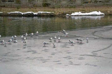  2021 - 01 - Schneelandschaft - Schneelandschaft 62 